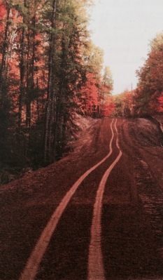 The road into the camp property on Deer Lake